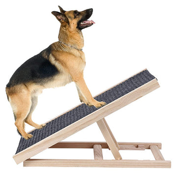 Dog Ramps