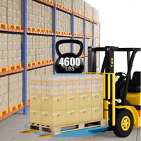 Garvee 5.5" Width Pallet Fork Extension, 4600 LBS Max Heavy Duty Steel Pallet Extensions for Forklift Truck - Yellow / 60x5.5 inch