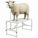 Garvee Goat Milking Stand Adjustable Metal Livestock Stand 47x23 Inch with Nose Loop for Goats Sheep Calves, Black - White