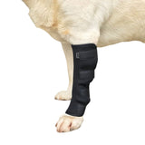Garvee Canine Dog Hock Joint Support Brace Adjustable Pet Leg Braces for Recovery S/M/L/XL Black - Black