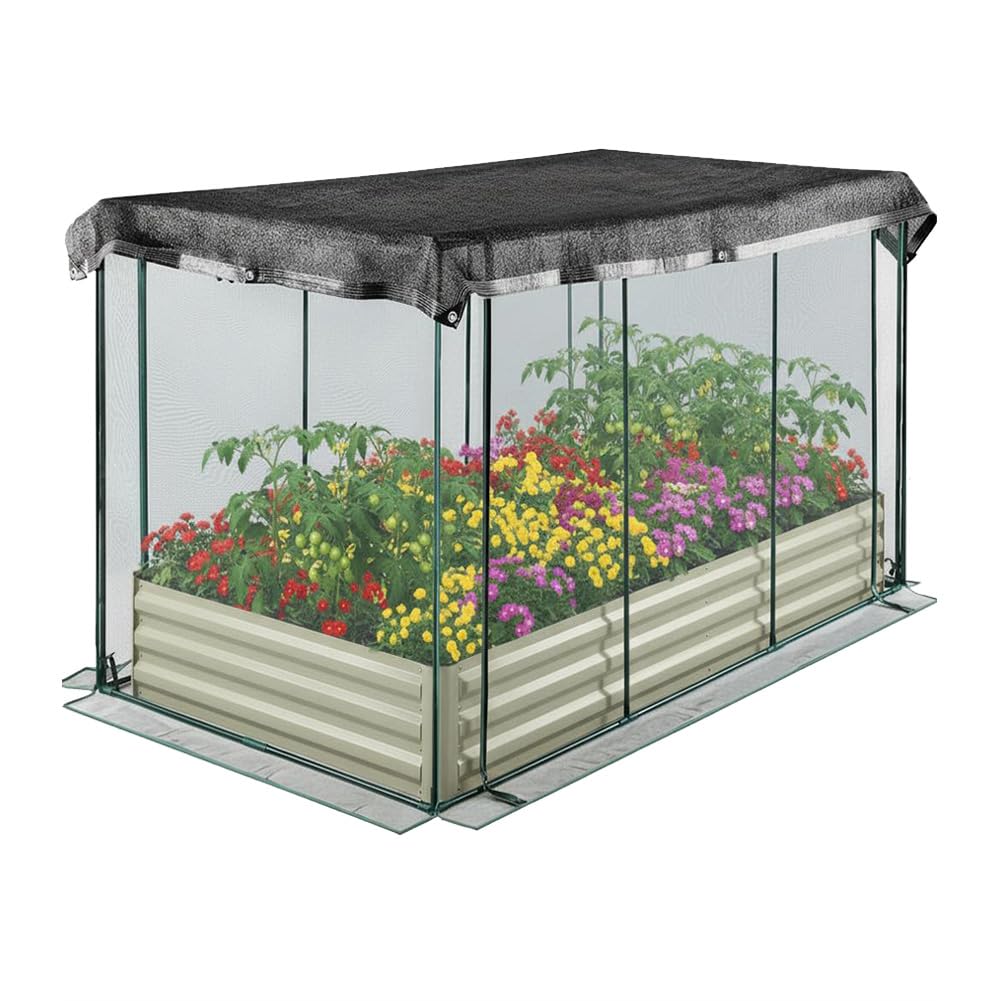 PPG_34D6F8PV
