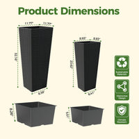 PPG_3358TPR5