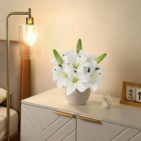 PHK_37B8QDYP