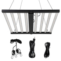 PPG_34548KRP