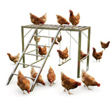 Garvee Chicken Perch with Swing Set, Roosting Bars for Chickens, Metal Chicken Run Accessories for Backyard Farms, 39.37"x39.37"x27.56", Black