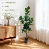 PHK_36JK376D