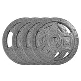 Garvee Cast Iron Weight Plates Set 1 Inch, 4 x 5 LB Barbell Plates with Anti-Rust Coating, Grip Design for Home Gym Strength Training, Black - Grey