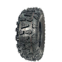 PAE_339XCINT