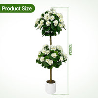 PHK_377EC5HN