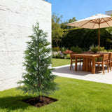 Garvee Pre-Lit Artificial Cypress/Norfolk Pine Trees with Twinkle LED Lights - 2-Pack Realistic Sparse Faux Potted Plants for Indoor Home Office Entryway Holiday Decor - Maintenance-Free - 4FT - with light - Green