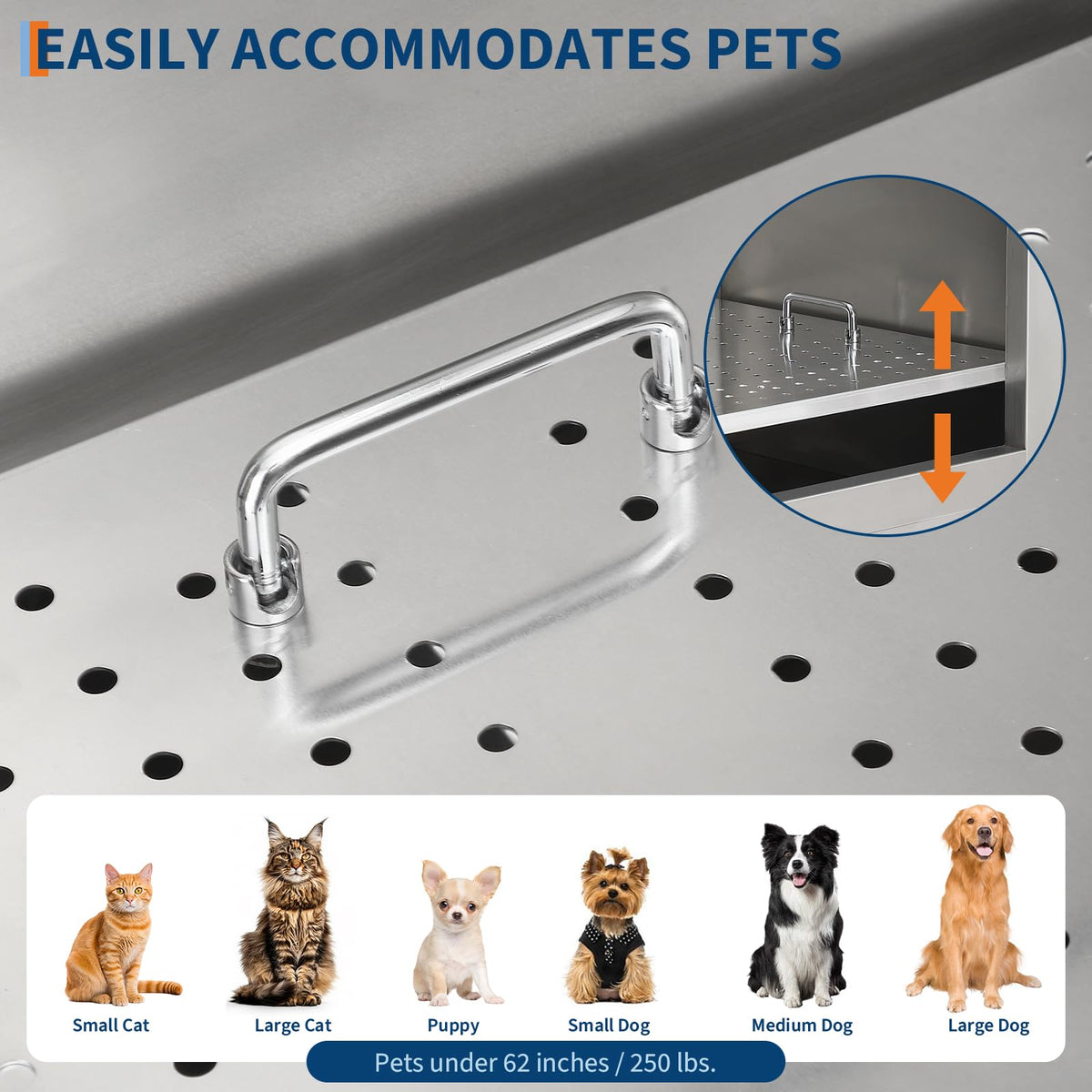PHO_33APCY4D