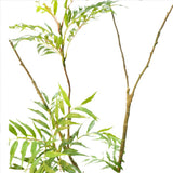 GARVEE 6 ft Realistic Artificial Mahonia Fortunei Tree with Pot - Large Green Decor for Home, Office, Balcony, or Lobby