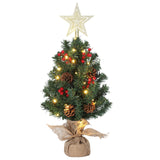 Garvee Mini Christmas Tree with Lights, 24 Inch Tabletop Christmas Tree with Berries Star Treetop Ornaments Balls Artificial Small Xmas Tree for Table Desk Home Christmas Holiday Decor