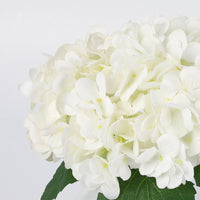 PHK_374XXETE