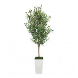Garvee UV-Resistant Lifelike Artificial Olive Tree with Black Olives - Natural Trunk, Adjustable Offshoots, Indoor/Outdoor Floor Decor - 6FT, White Tall Pot - White