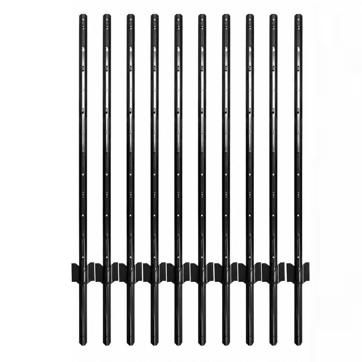 PPG_34XYGEBN