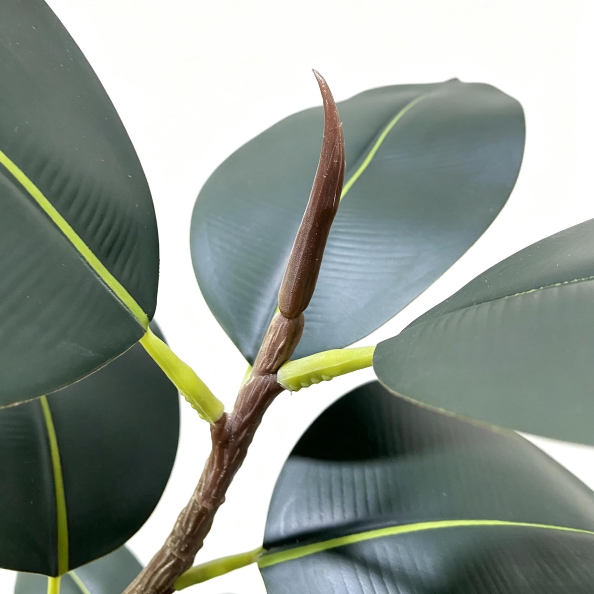 PHK_399QQGRY