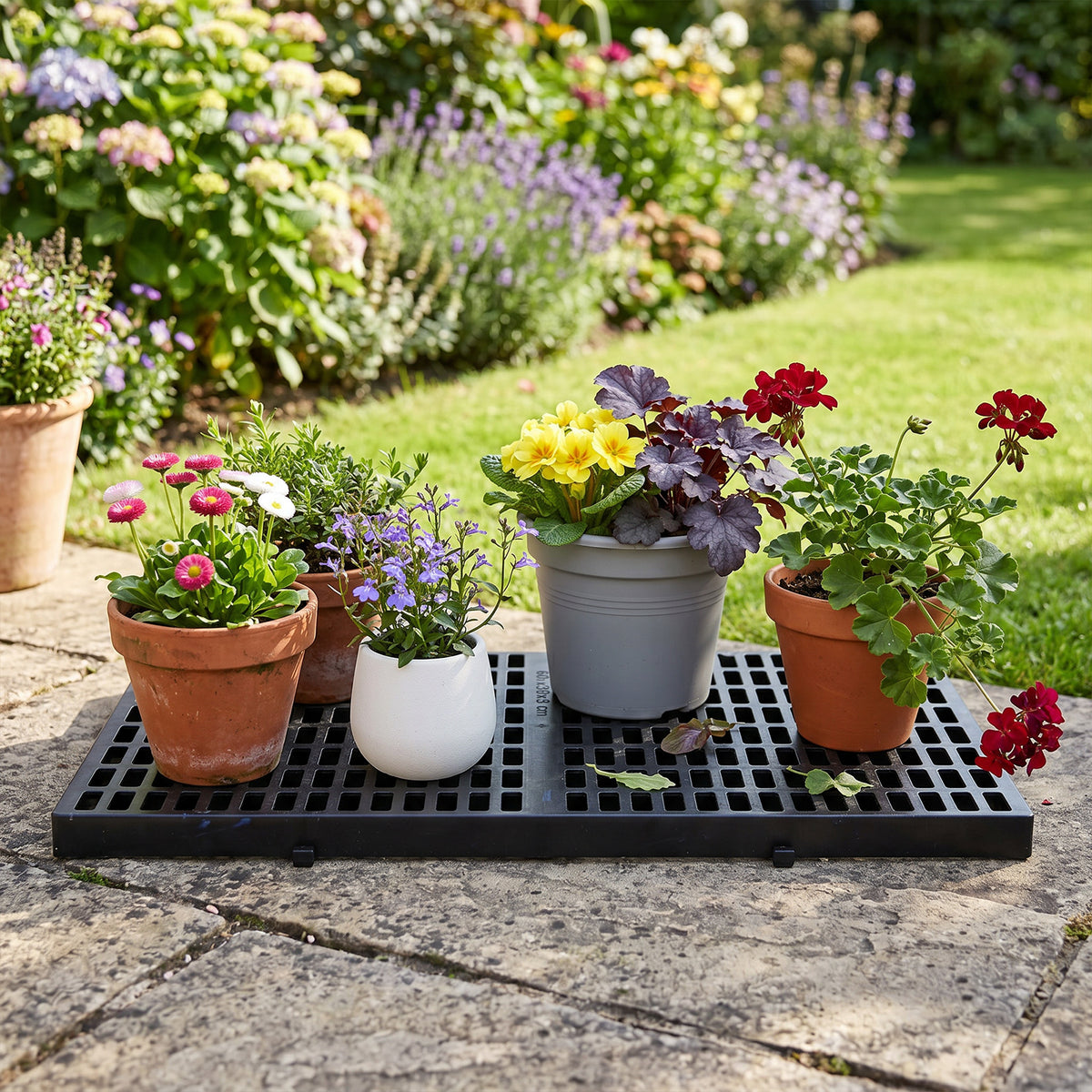 PLS_33STUEEV
