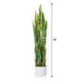 Garvee Realistic Exotic Faux Floor Tree - Artificial Arrowroot (Calathea/Maranta) Plant in Cement Pot, 4 ft / 120 cm - Lifelike Leaves - Indoor Decor for Living Room, Office, Bedroom - Arrowroot, 120, Single